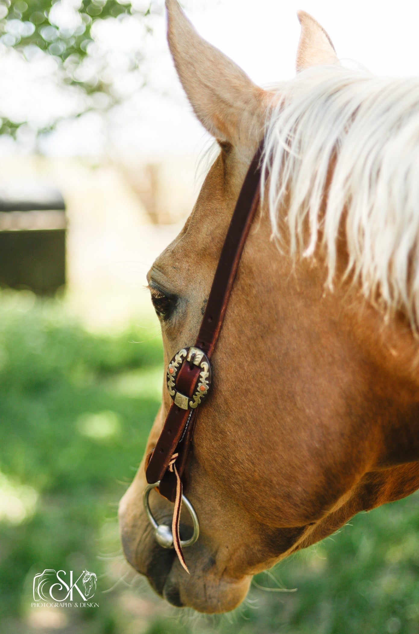 Headstalls