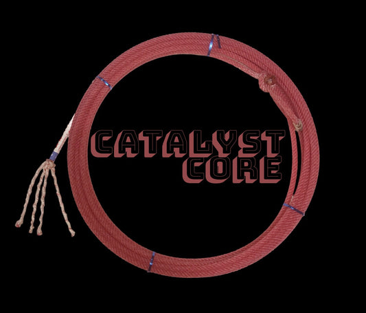 CATALYST-MS - Lazy L Ranch Co.