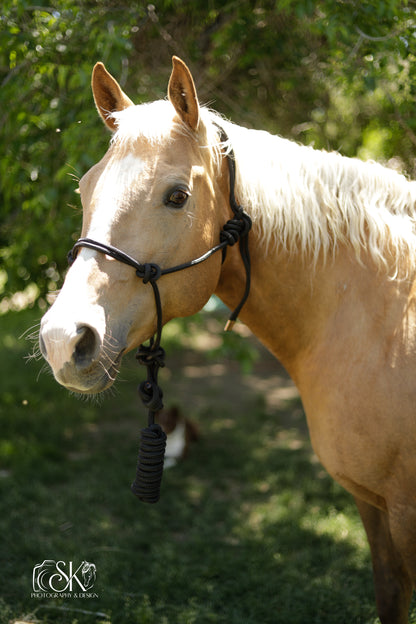 Rope Halter with Lead - Lazy L Ranch Co.