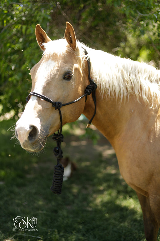 Rope Halter with Lead - Lazy L Ranch Co.
