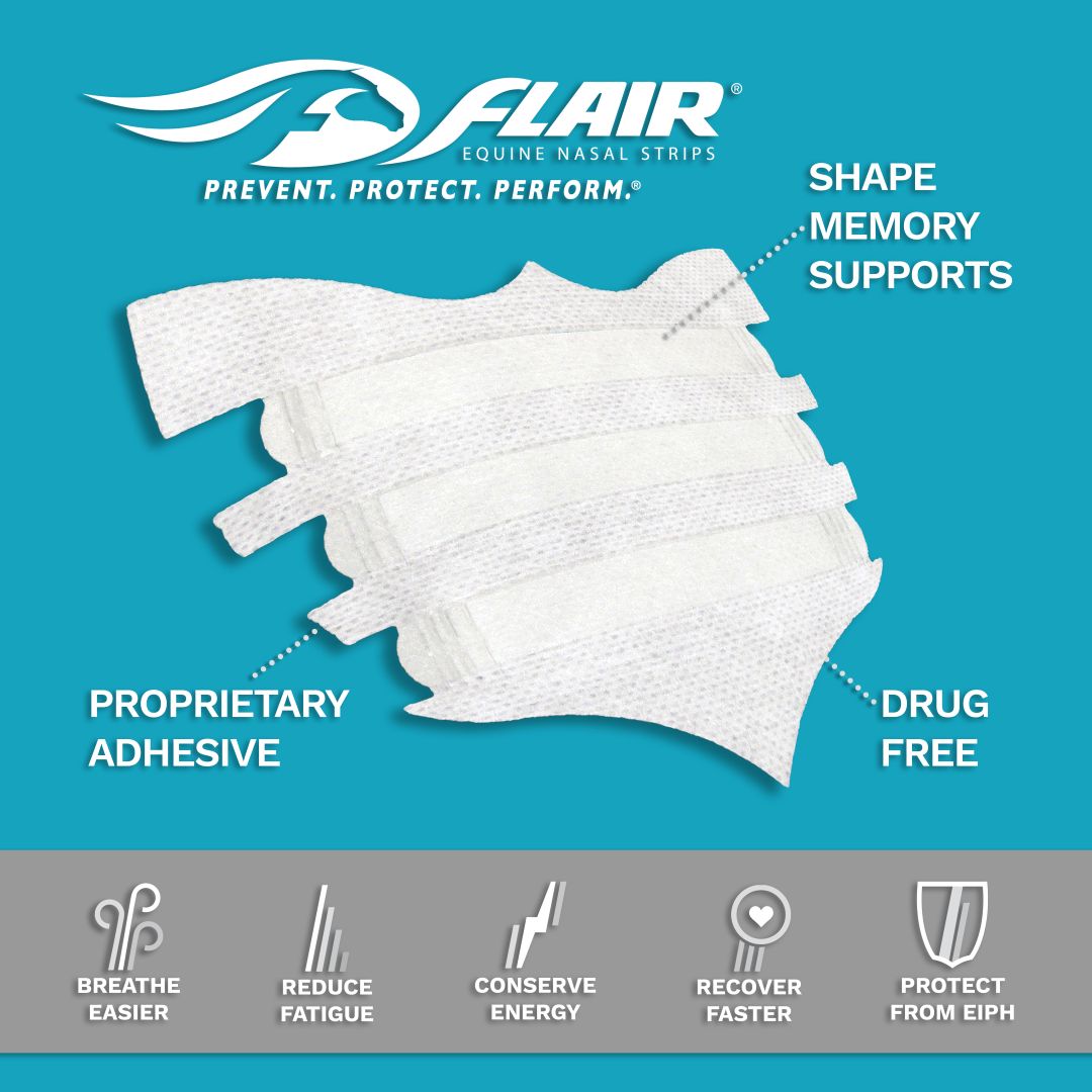 Flair Equine Nasal Strips - Lazy L Ranch Co.
