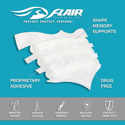 Flair Equine Nasal Strips - Lazy L Ranch Co.