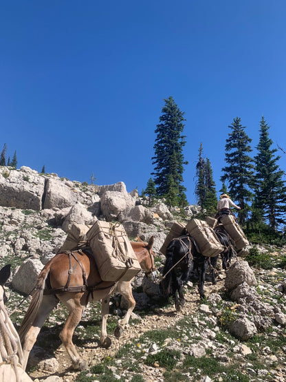 Montana Canvas- Manti Tarp - Lazy L Ranch Co.