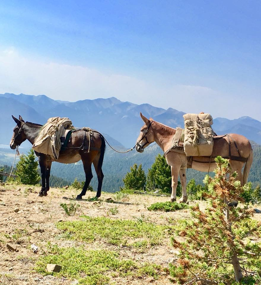 Montana Canvas- Manti Tarp