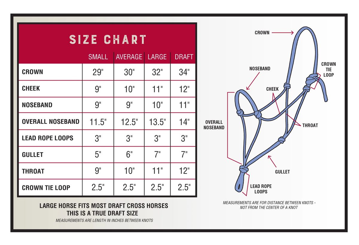 Silvertip- 4- Knot Transition Rope Halter