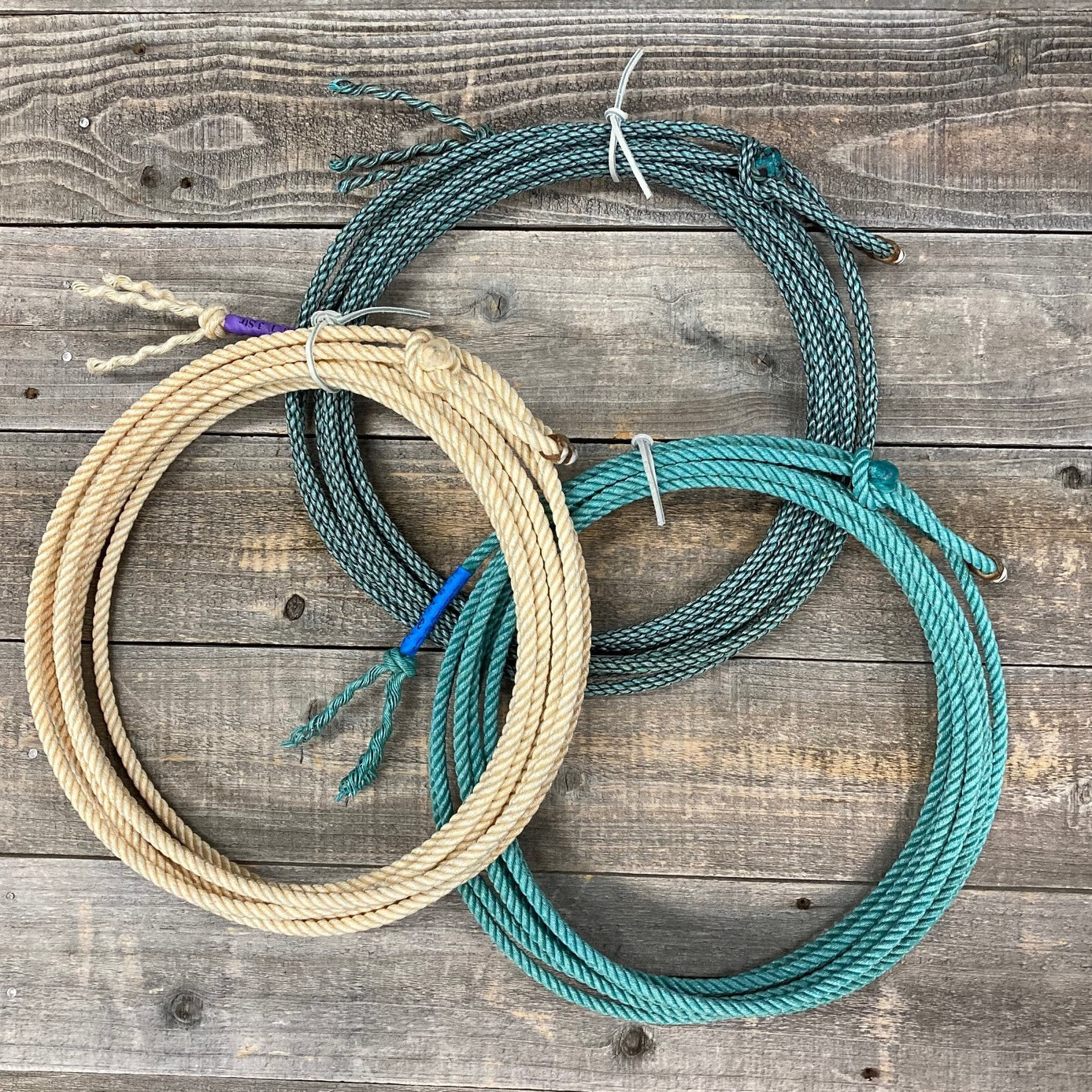 SYNCO Treated Poly Calf Rope- Breakaway