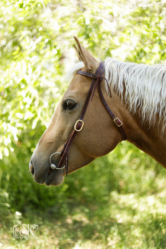 Double Buckle and Double Stitched with Browband - Lazy L Ranch Co.