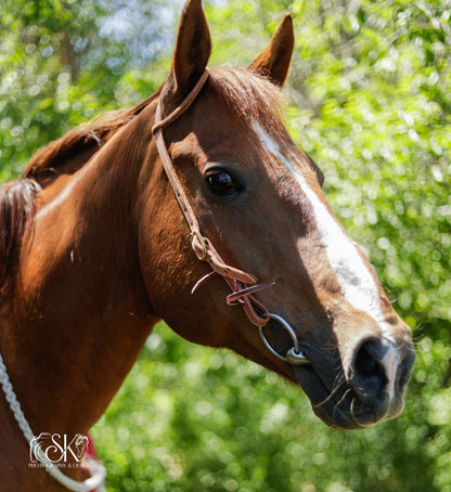 Loop Ear Headstalls - Lazy L Ranch Co.